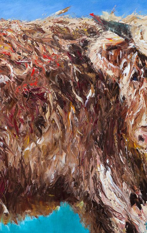 Highland Cow by Liudmila Pisliakova