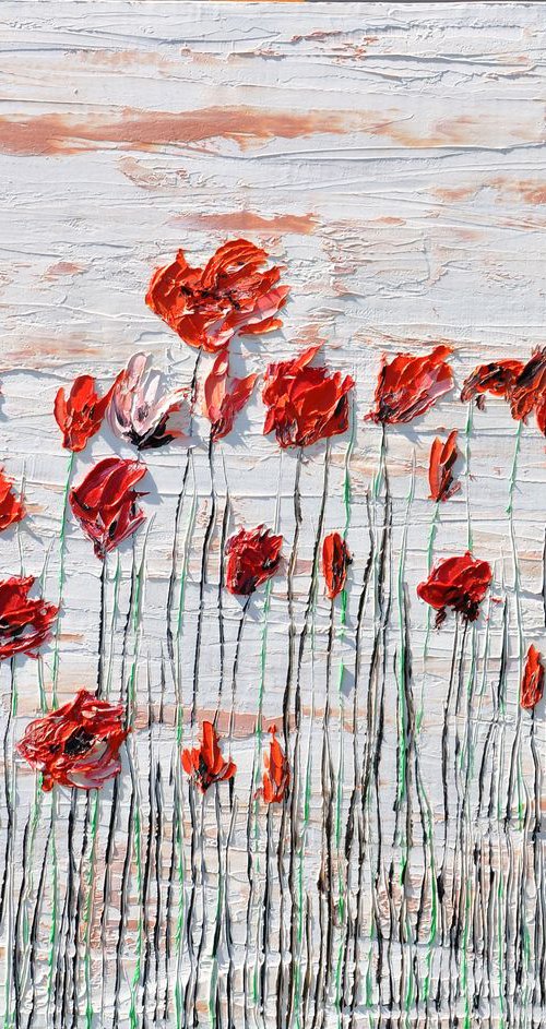 Wild Poppies 2 by Daniel Urbaník