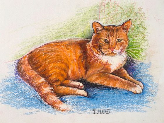 Portrait of Thoe (Ginger)