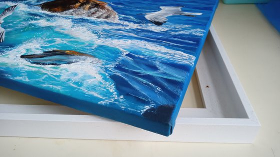 Waves and Seagulls