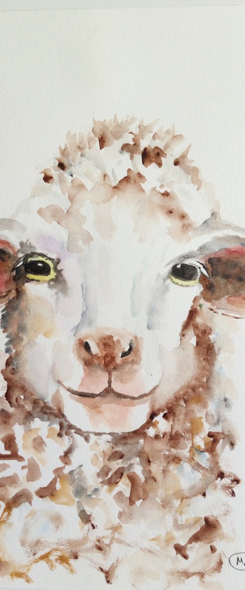 Sheep portrait. by MARJANSART