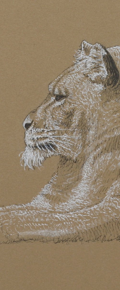 The Old Lioness by John Fleck