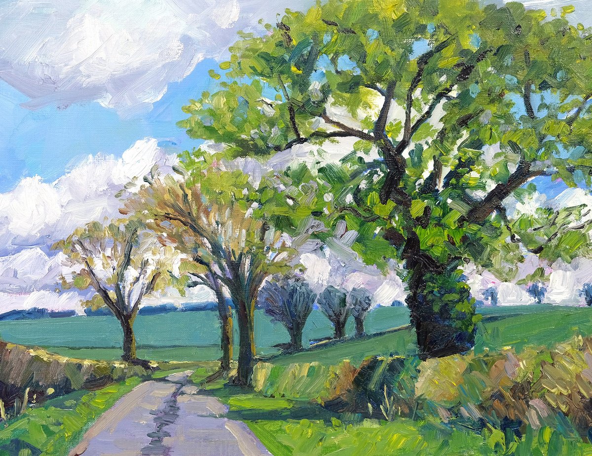 Spring Lane, North Yorkshire by Jeff Parker