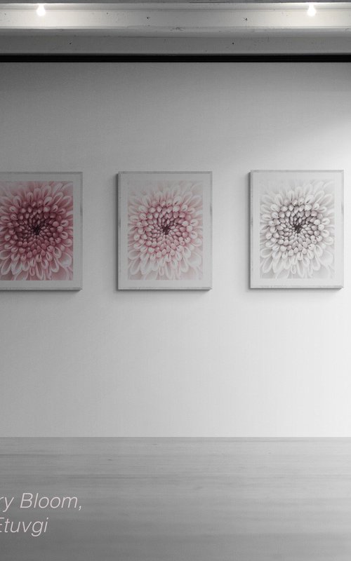 Echoes of Memory Bloom by Inna Etuvgi