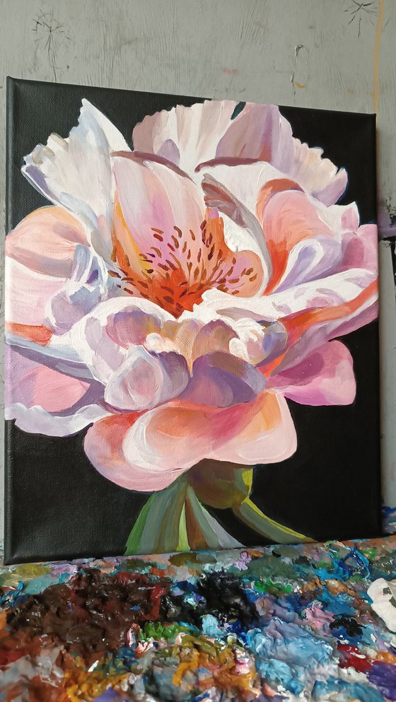 Playful Peony