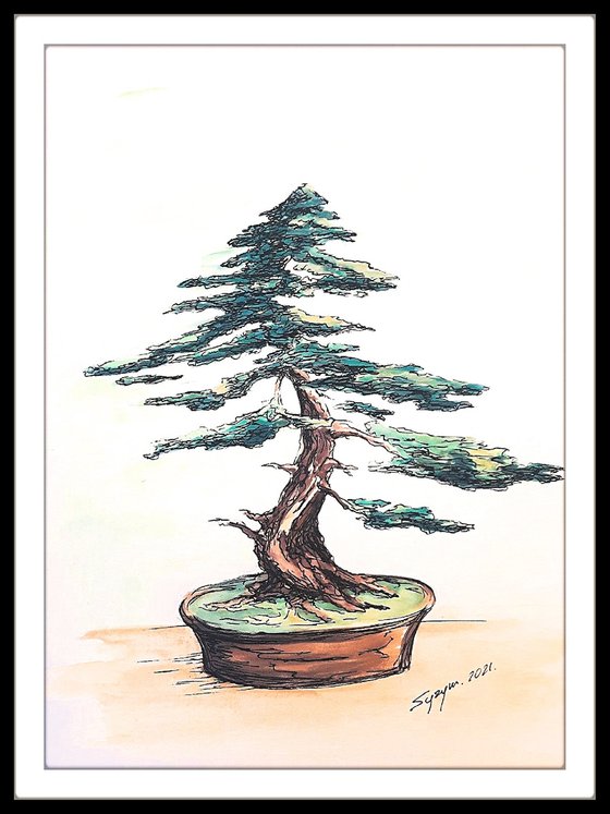 BONSAI I