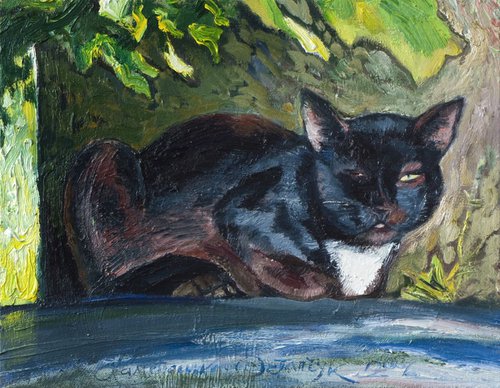 Cat in the shade by Olena Kamenetska-Ostapchuk
