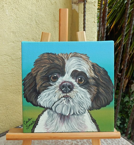 Shih Tzu Pet Dog Original Art Painting-8 x 8 Inches Stretched Canvas-Carla Smale