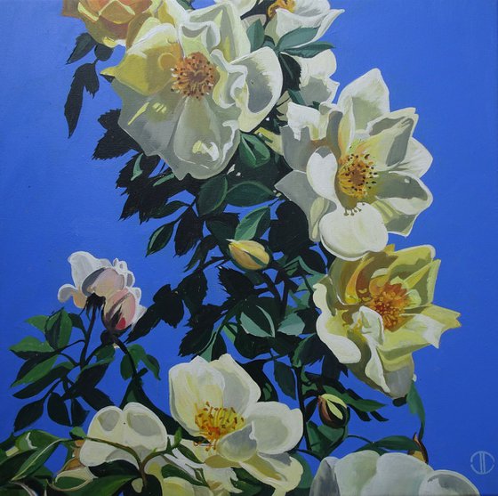Roses At Rousham