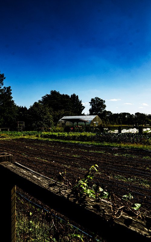 A Late Summer Idyll by David Huntzinger