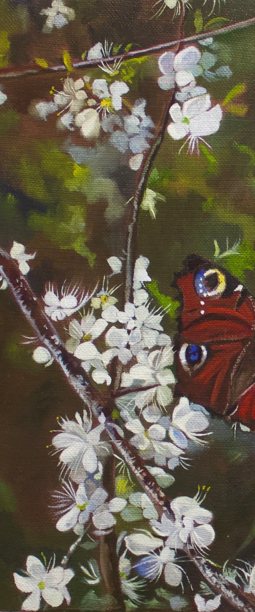 Whites flowers and butterfly by Anne Zamo