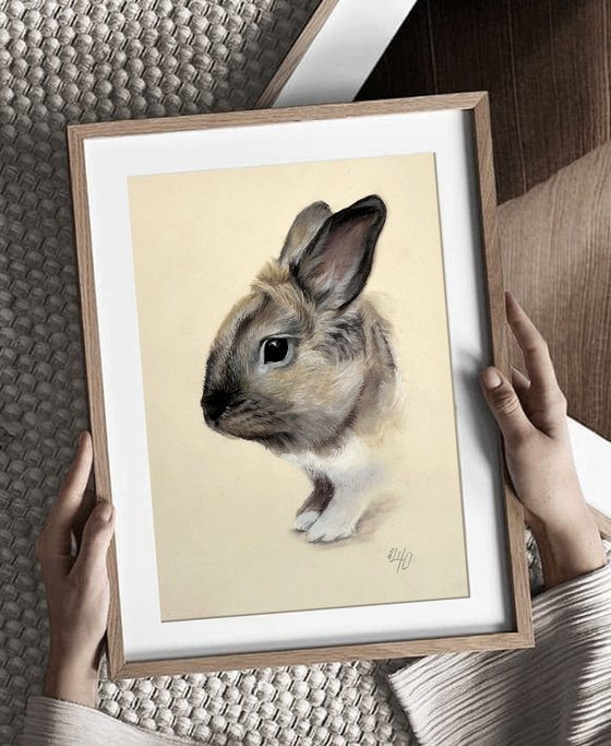 Portrait of a cute rabbit