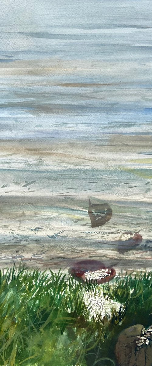 Seashells by Mazen Ghurbal