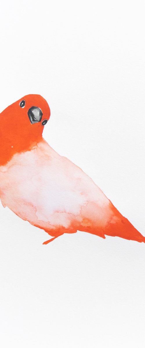 Bird by Nadia Moniatis