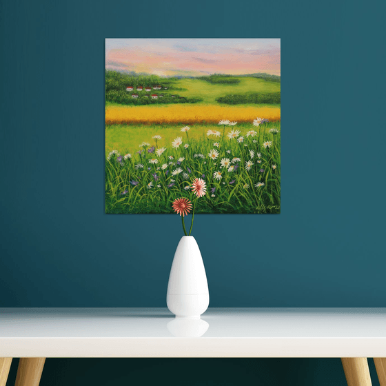 Daisy meadow landscape