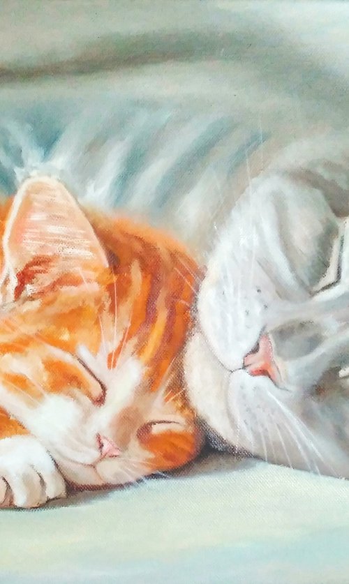 Sleeping Cat and Kitten by Yulia Berseneva
