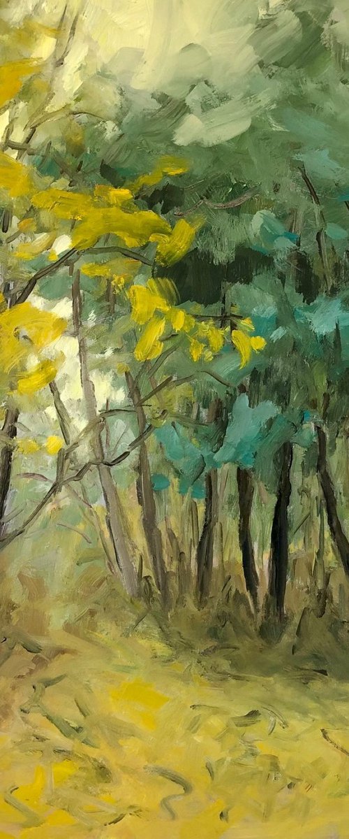 traipsing the leaves by Joanna Farrow