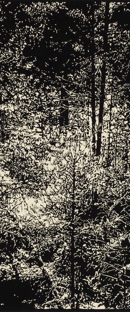 THICKET / PECOS by David Conn