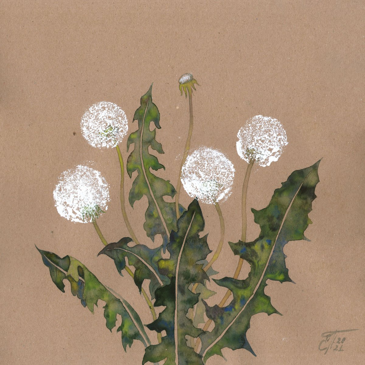 Dandelions by Ekaterina Prisich