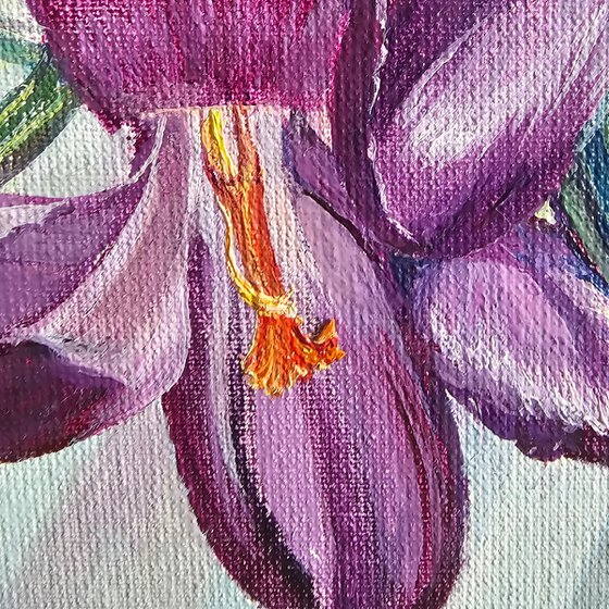 Spring. Chance Encounter.