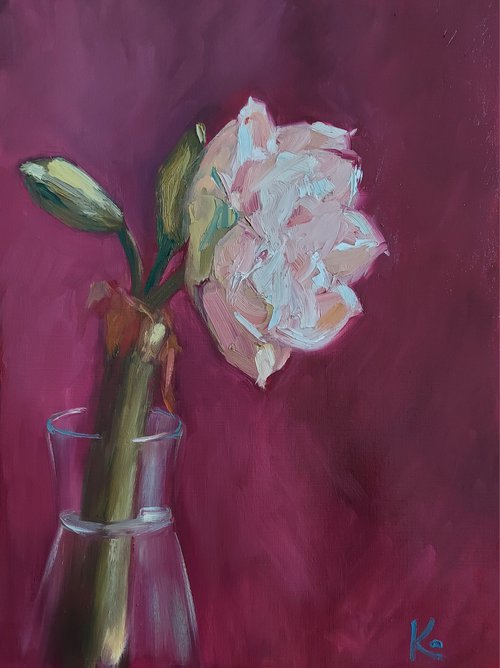 Still-life with flower "Amaryllis" by Olena Kolotova