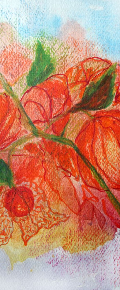 Physalis /  ORIGINAL PAINTING by Salana Art Gallery