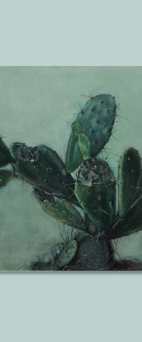 cactus by Zhao Hui Yang