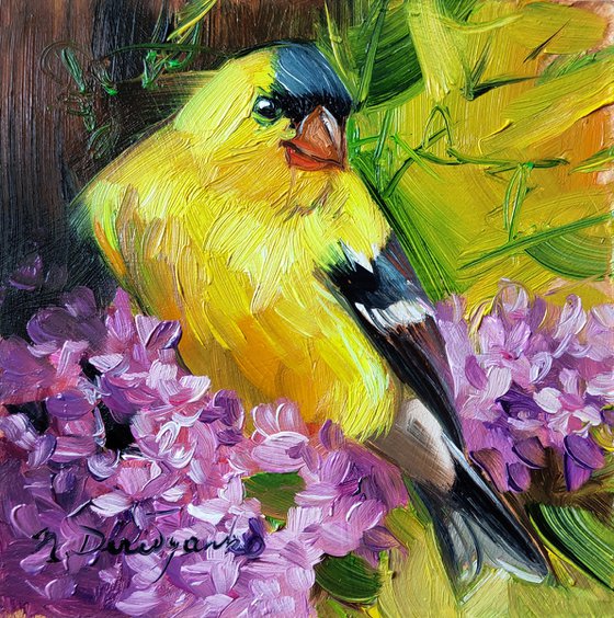 Original bird painting 4x4 in oil, Painting yellow bird on blossom branch, Bird art painting framed, Small painting of birds for bird lovers