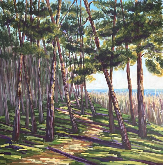 Walk Along the Coast