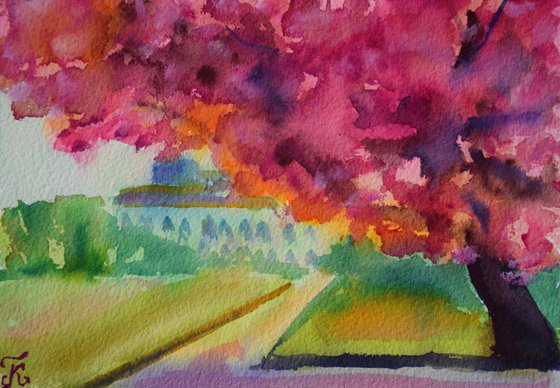 Blooming park, pink tree Small watercolor painting