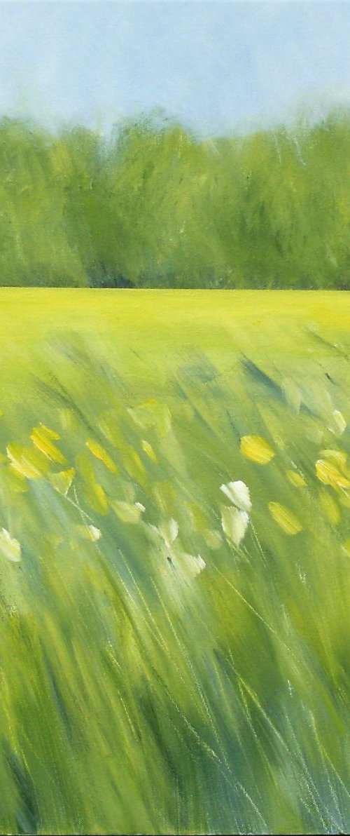 Surrey Landscape - Rapeseed Field by Jan Rippingham