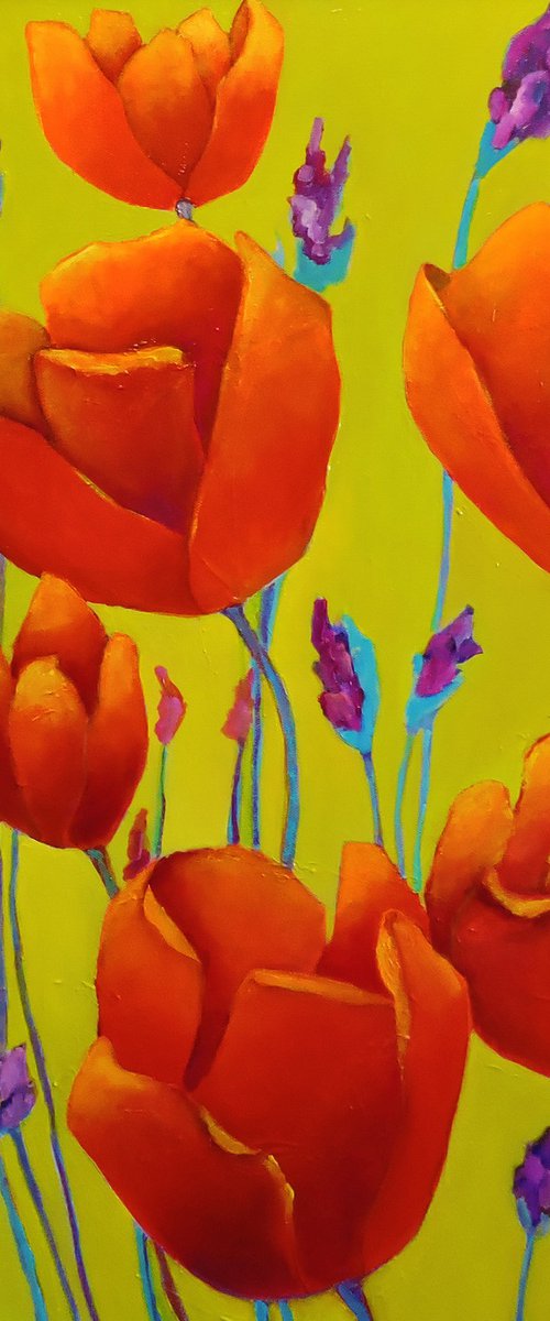 Summer Tulips by Veta  Barker