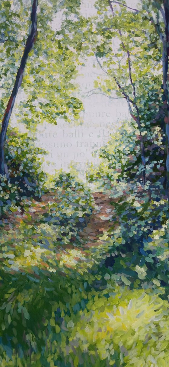 Passage n.7