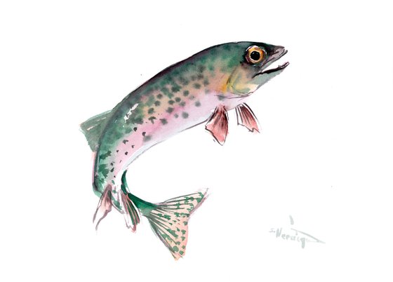 Rainbow Trout