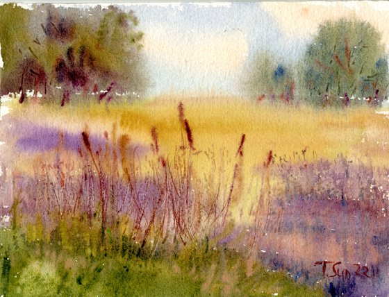 The summer field near Cuckoo Line, England