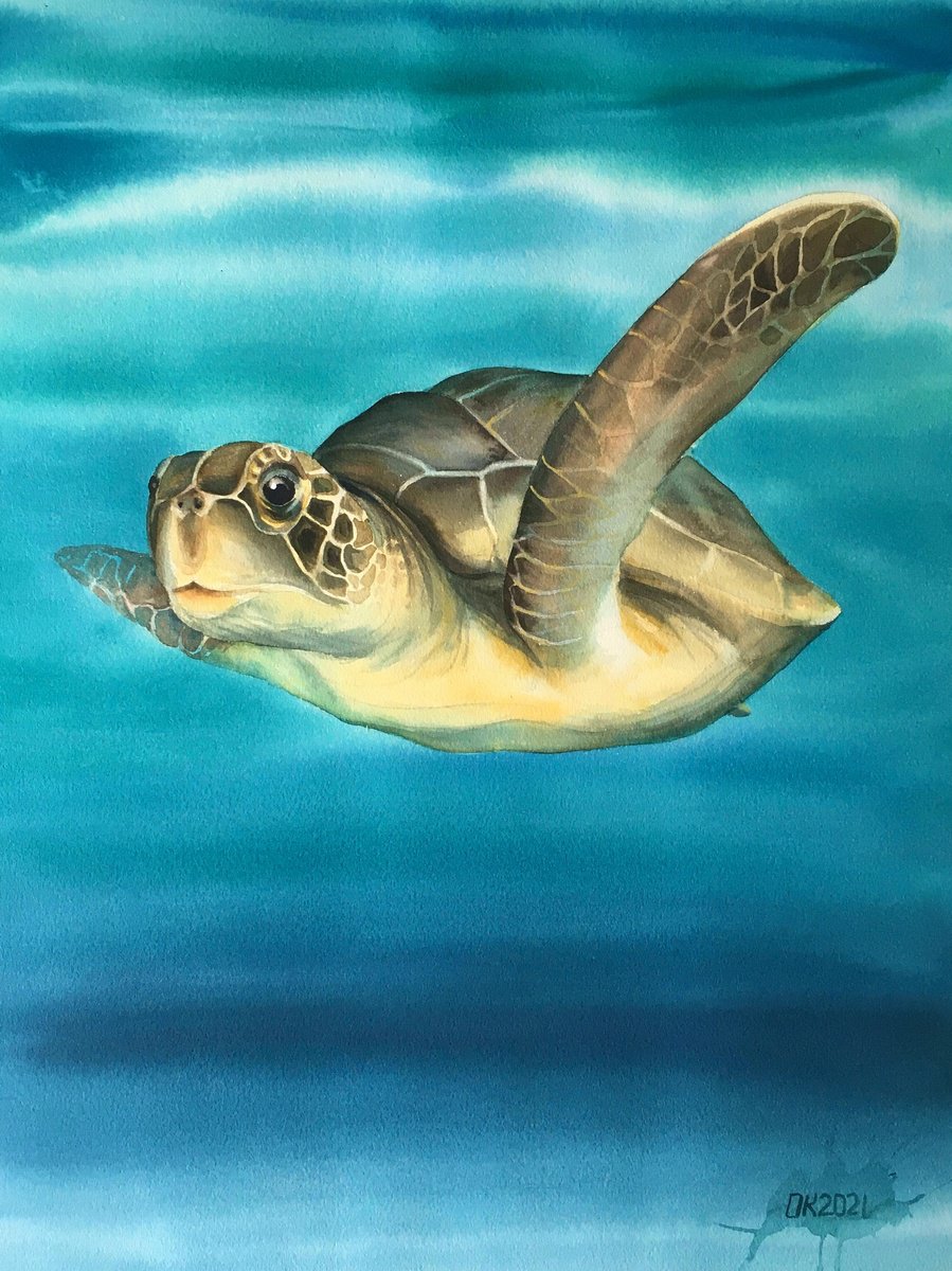 Sea Turtle by OXYPOINT