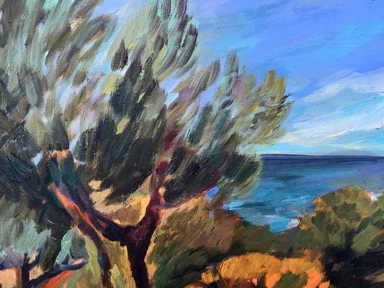 ITALY. GARGANO. OLIVE TREES - original  oil on canvas olive trees Italian landscape sky sea gift home decor
