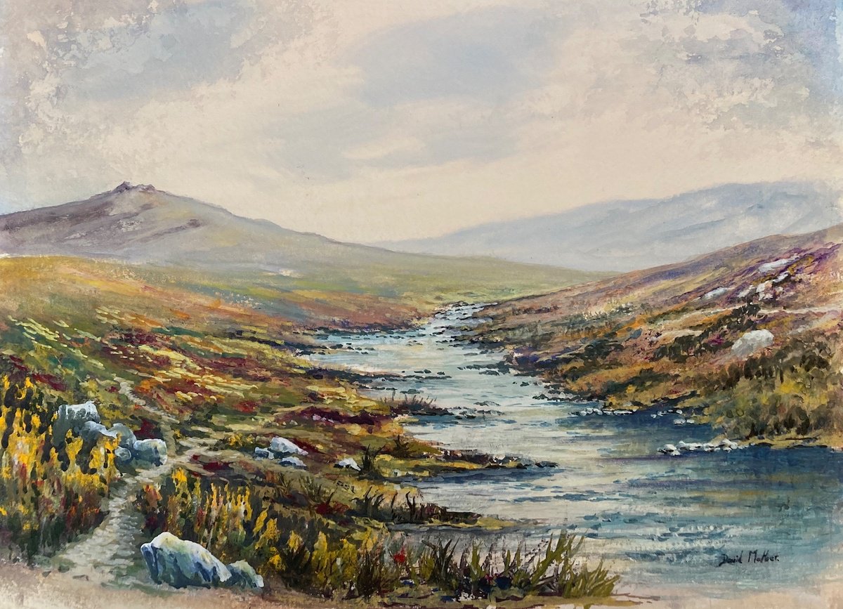 Dartmoor Tavy Cleave. by David Mather