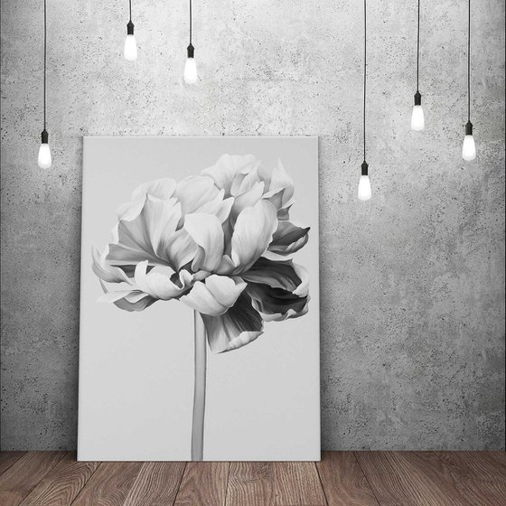 "Black and white peony" Black white flowers