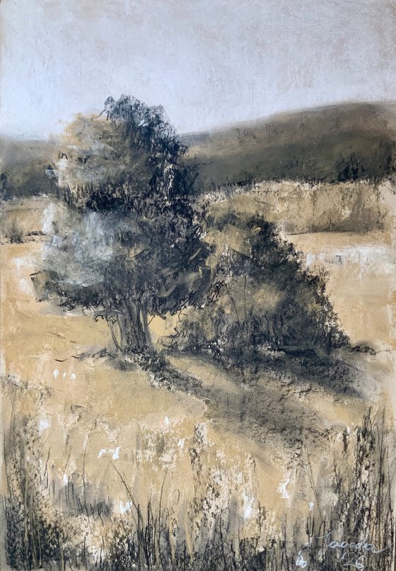 Silent Fields, Moving Air