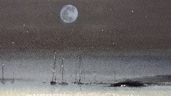 Serenity Under the Moon