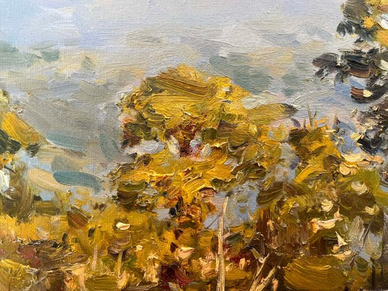 When Golden Light Touches the Treetops