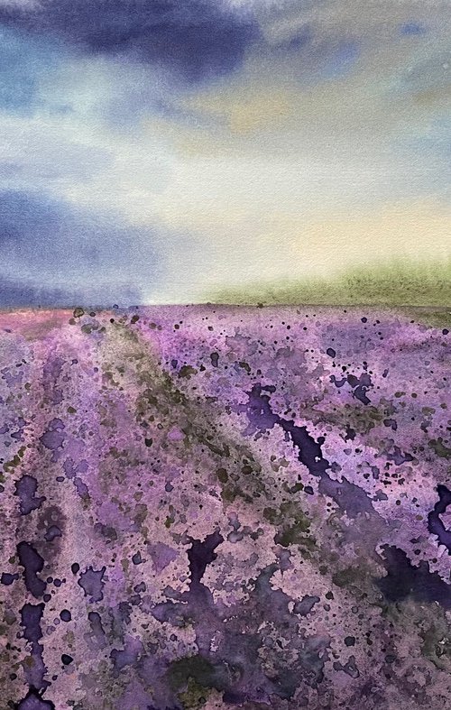 Lavender Field by Alona Hryn