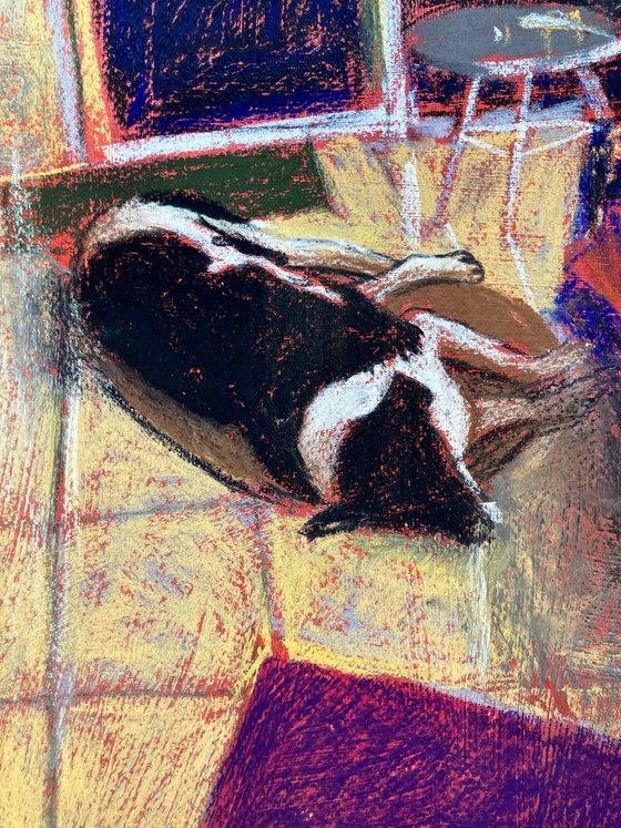 Interior with dog