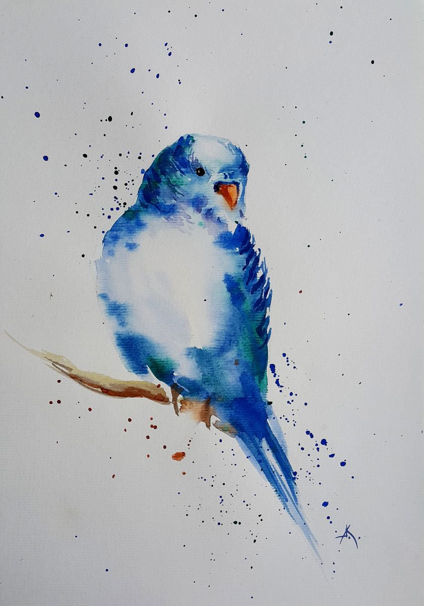 Parrot by Anastasia Kozorez