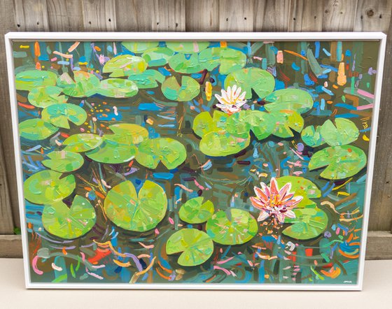 Tasman Lily Pond 50