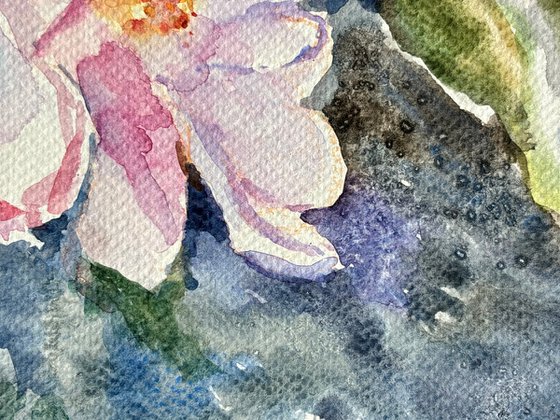 Aquarelle petals