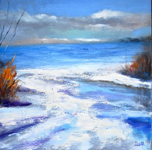 Winter coast by Elena Lukina