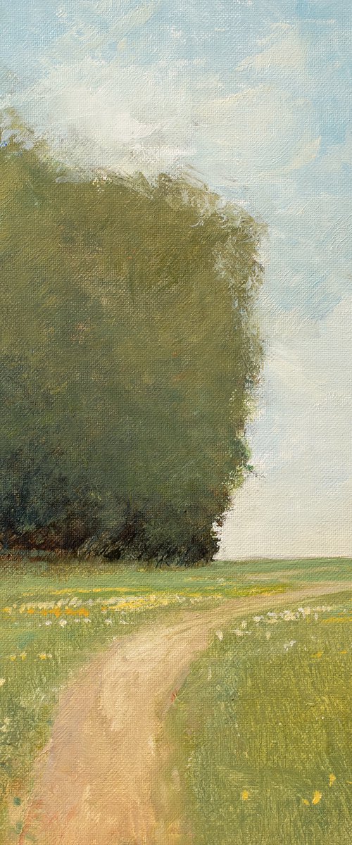 Meadow Path 220526 C, flower field impressionist landscape painting by Don Bishop