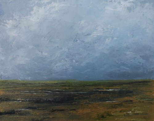 Wetlands by John Halliday